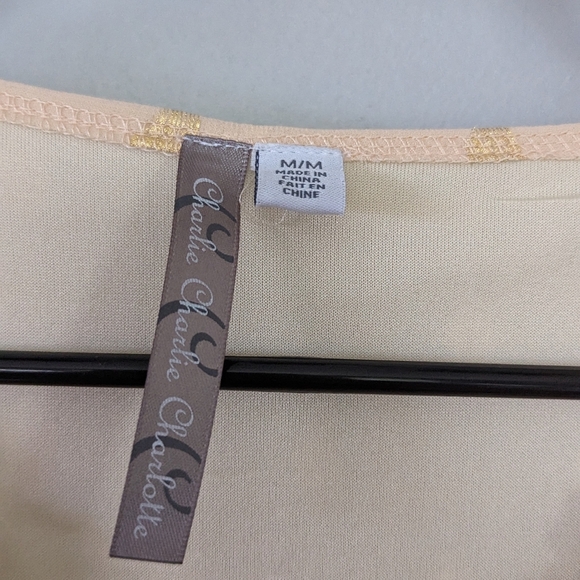 Charlie Charlie Charlotte Apricot Lace Sleeveless Empire Waist Maxi Dress - Picture 10 of 13